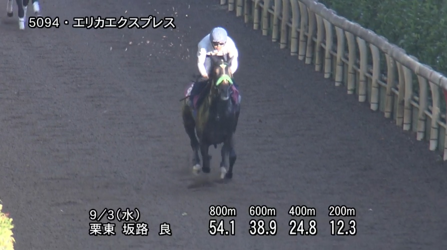 京成杯オータムハンデ2025 追い切り