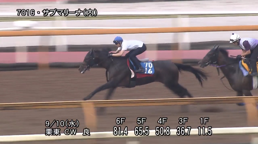 チャレンジカップ2025 追い切り