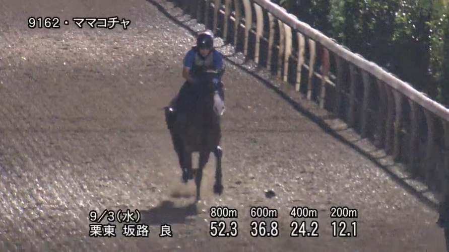 セントウルステークス2025 追い切り