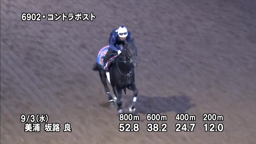 京成杯オータムハンデ2025 追い切り