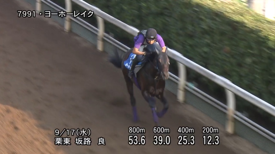 オールカマー2025 追い切り