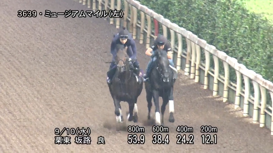 セントライト記念2025 追い切り