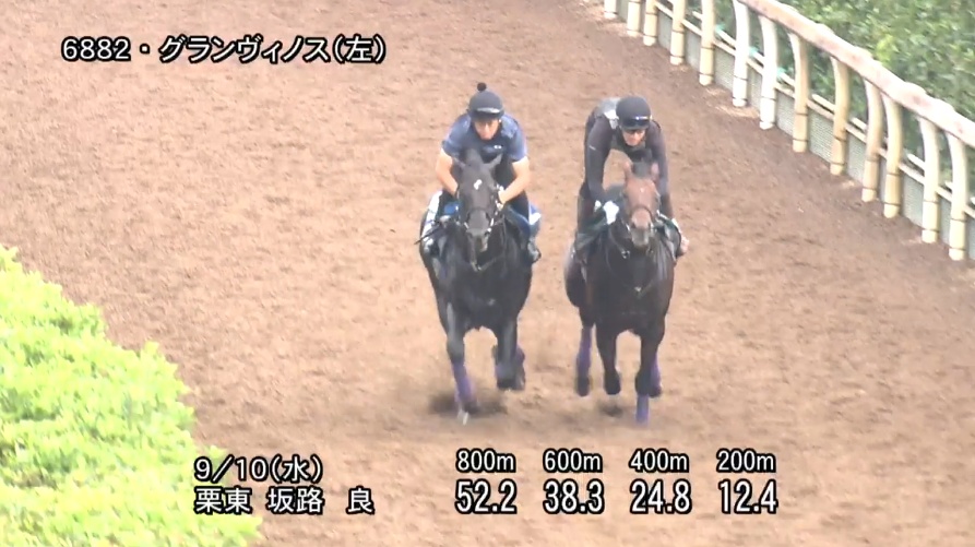 チャレンジカップ2025 追い切り