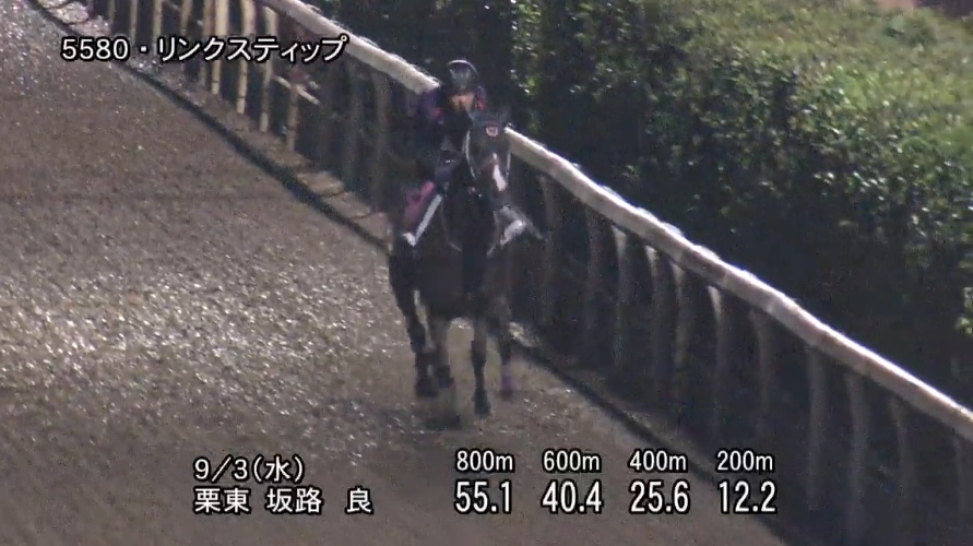 紫苑ステークス2025 追い切り