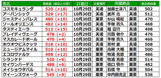 天皇賞秋2025 調教後の馬体重