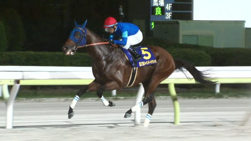 ジャパンダートクラシック2025 ナルカミ