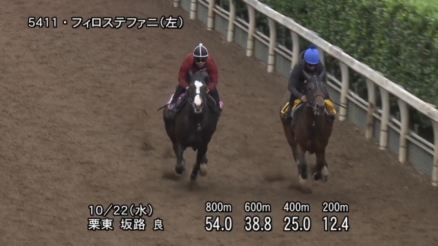 アルテミスステークス2025 追い切り