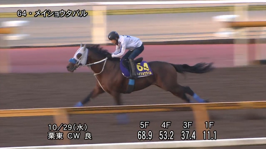 天皇賞秋2025 追い切り