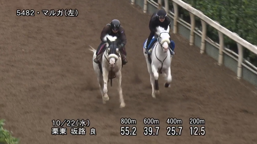 アルテミスステークス2025 追い切り