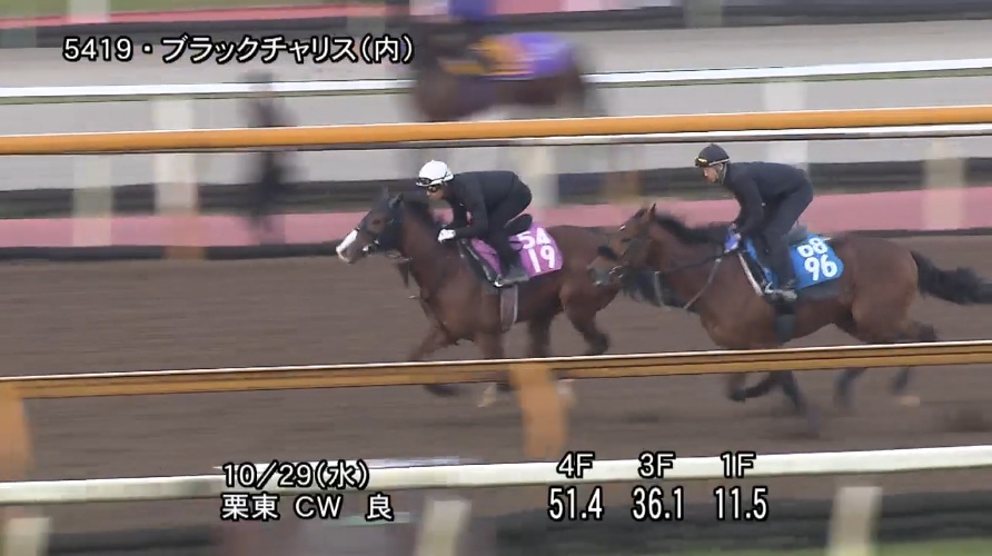 ファンタジーステークス2025 追い切り