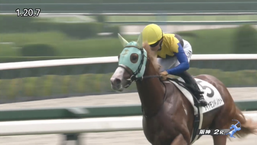 京王杯2歳ステークス2025 出走予定馬 ダイヤモンドノット