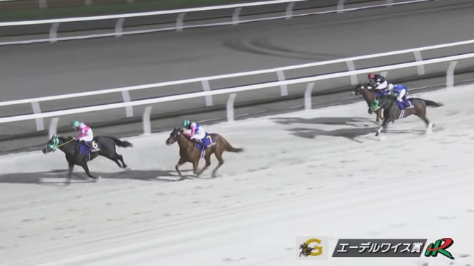 エーデルワイス賞2025 リュウノフライト