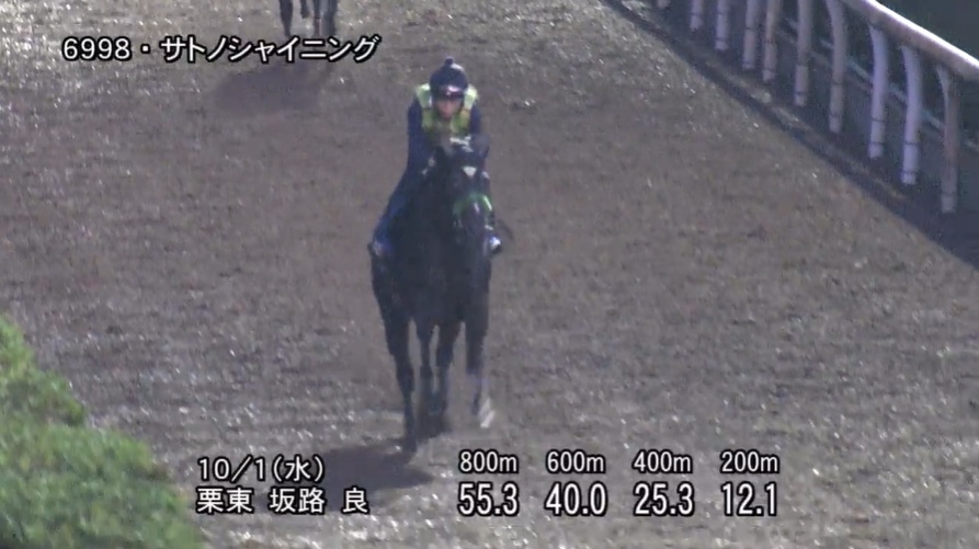 毎日王冠2025 追い切り