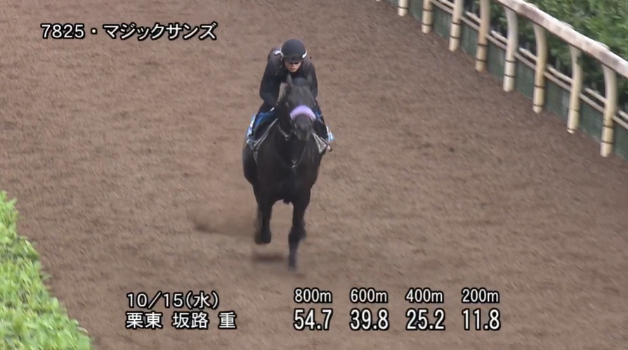 富士ステークス2025 追い切り