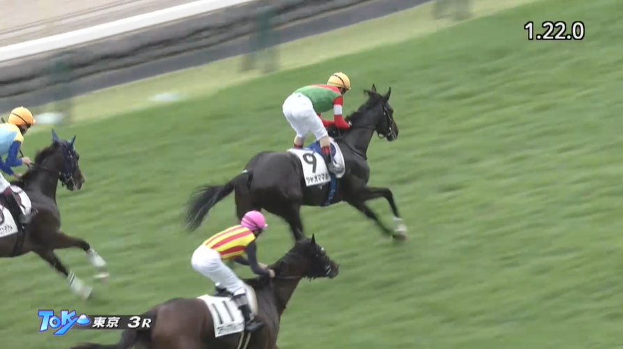 京王杯2歳ステークス2025 出走予定馬 シャオママル