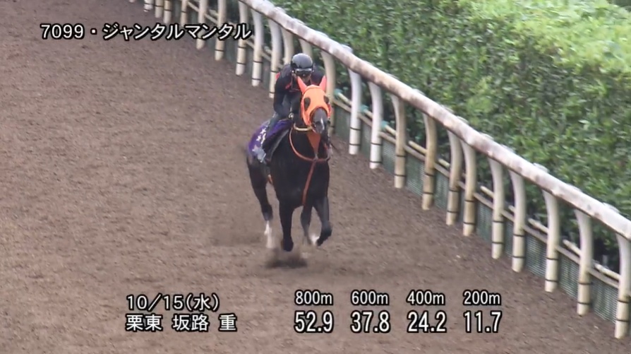 富士ステークス2025 追い切り
