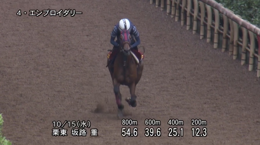 秋華賞2025 追い切り