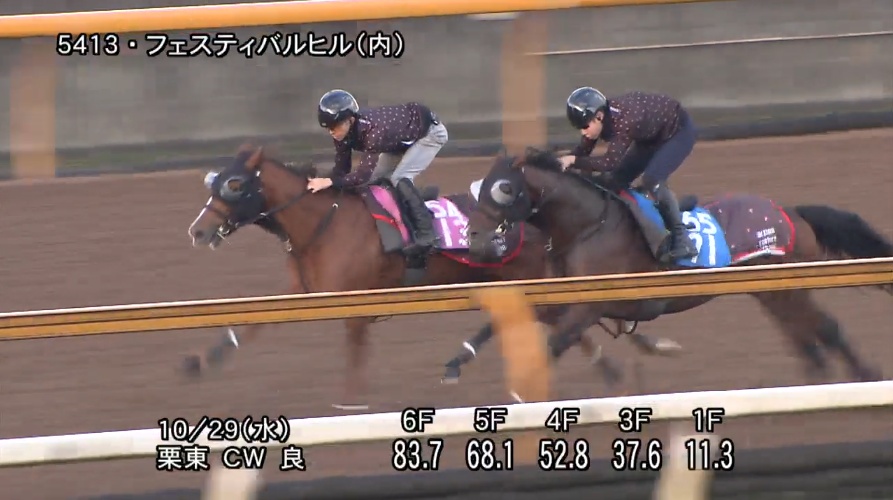 ファンタジーステークス2025 追い切り