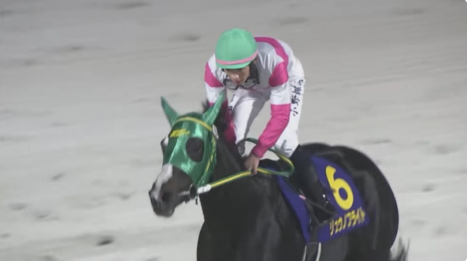 エーデルワイス賞2025 リュウノフライト