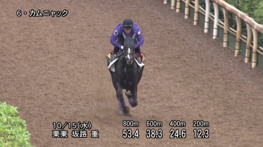 秋華賞2025 追い切り