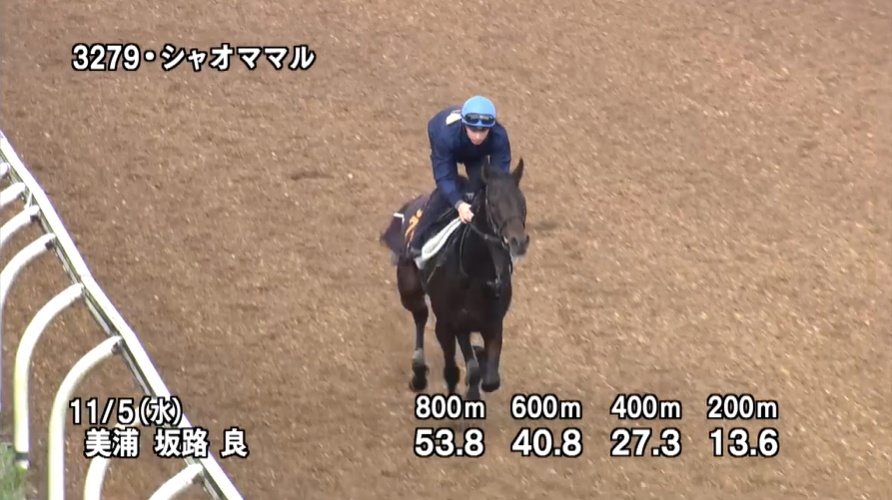 京王杯2歳ステークス2025 追い切り