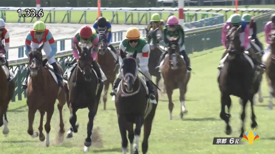 京都2歳ステークス2025出走予定馬 バルセシート