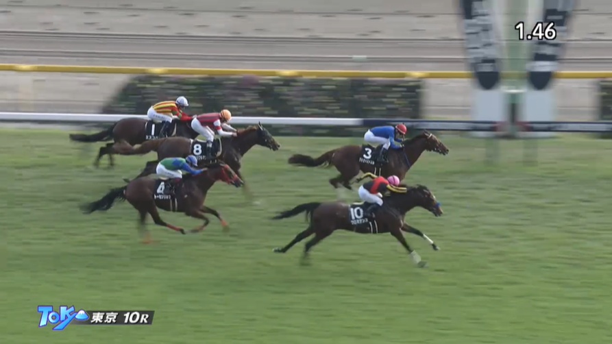 ステイヤーズステークス2025出走予定馬 クロミナンス