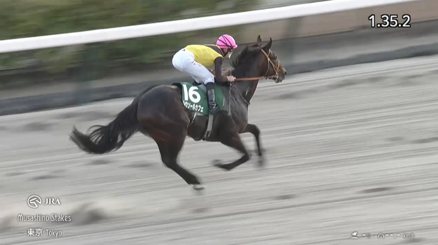 武蔵野ステークス2025 ルクソールカフェ