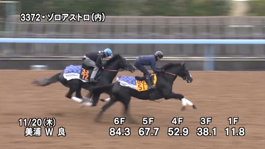 東京スポーツ杯2歳ステークス2025 追い切り