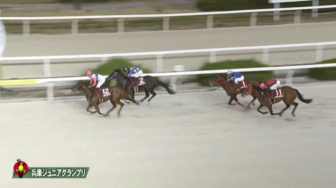 兵庫ジュニアグランプリ2025 トウカイマシェリ