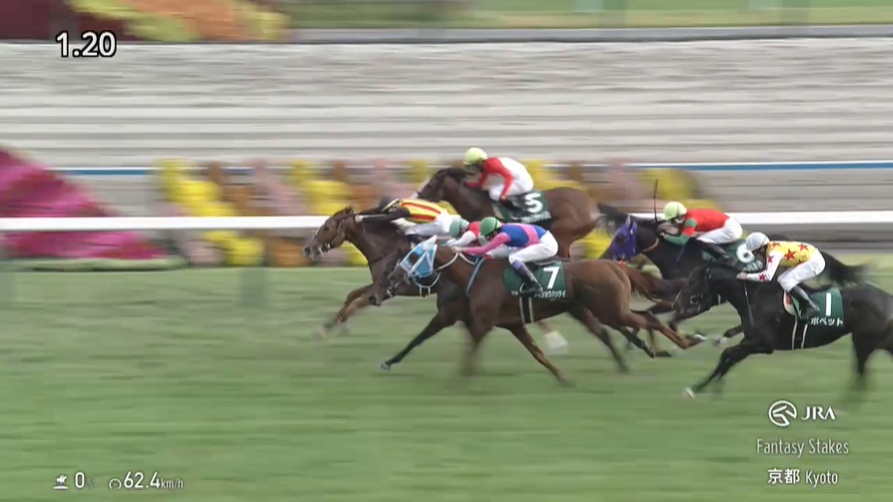 ファンタジーステークス2025 フェスティバルヒル