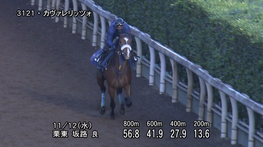 デイリー杯2歳ステークス2025 追い切り