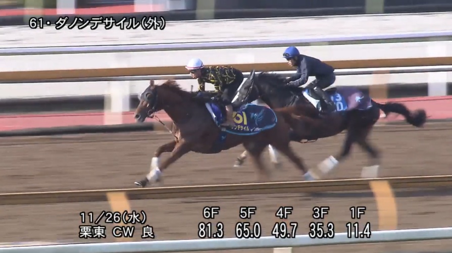 ジャパンカップ2025 追い切り