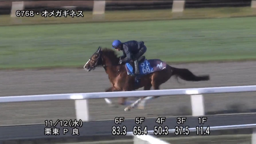 武蔵野ステークス2025 追い切り