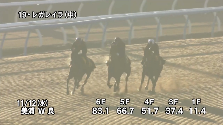 エリザベス女王杯2025 追い切り