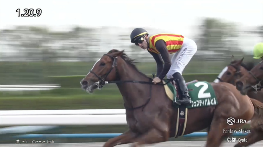 ファンタジーステークス2025 フェスティバルヒル