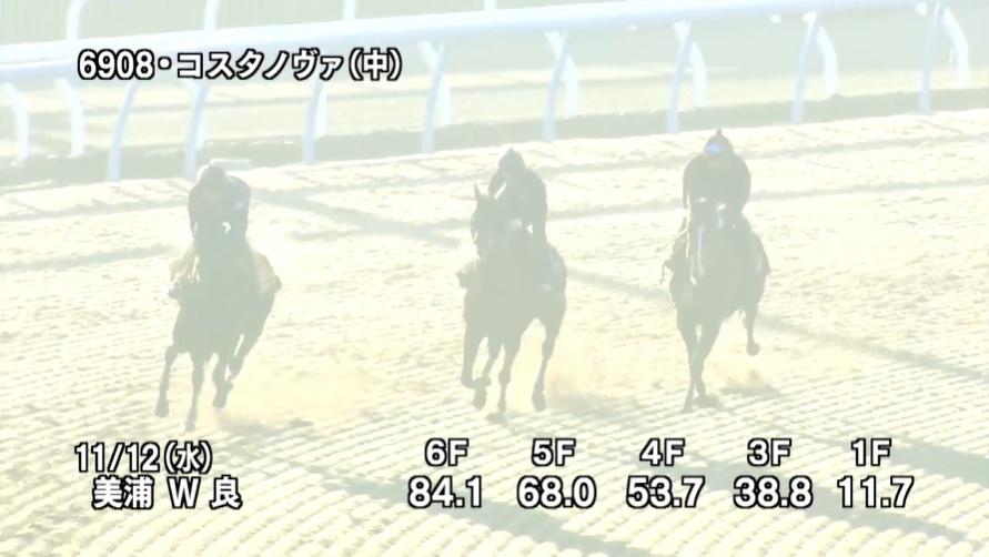 武蔵野ステークス2025 追い切り