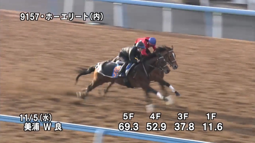 アルゼンチン共和国杯2025 追い切り