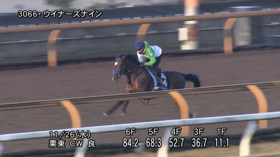 京都2歳ステークス2025 追い切り