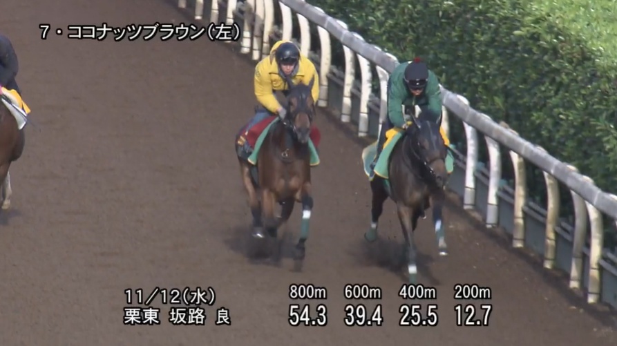 エリザベス女王杯2025 追い切り