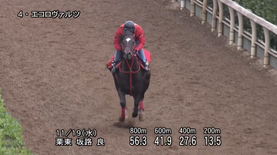 福島記念2025 追い切り