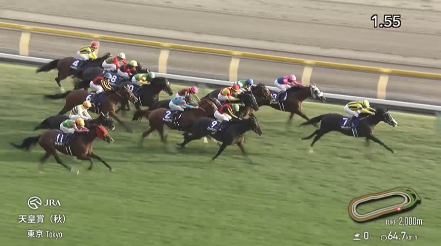 天皇賞秋2025 マスカレードボール