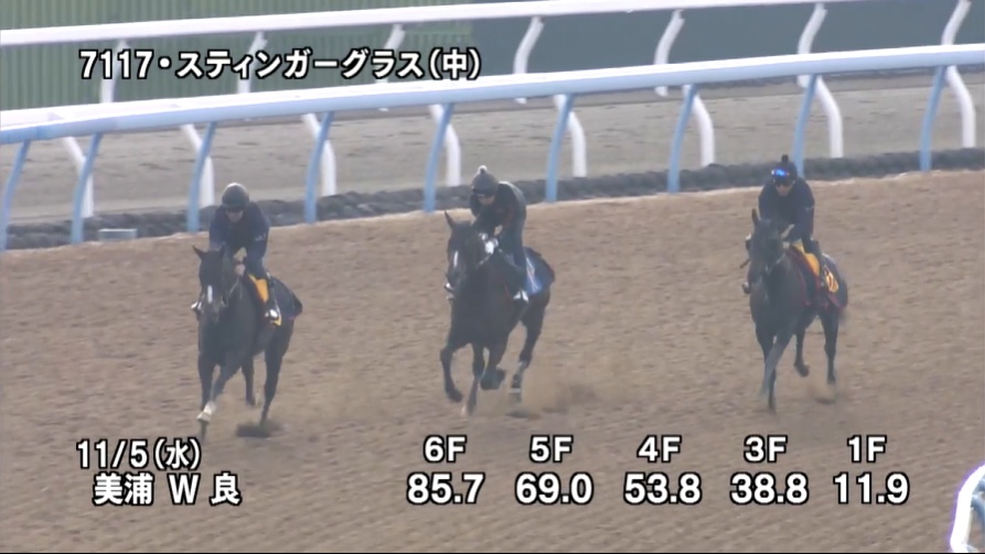 アルゼンチン共和国杯2025 追い切り