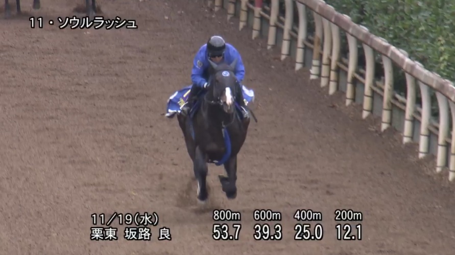 マイルCS 2025 追い切り