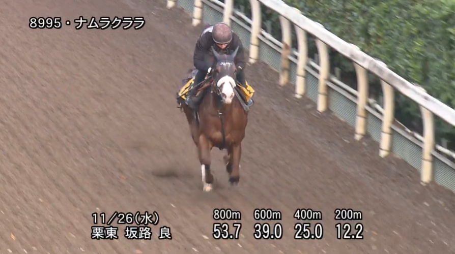 京阪杯2025 追い切り