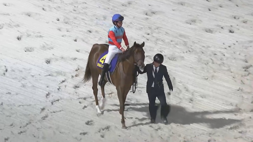 JBC2歳優駿2025 タマモフリージア