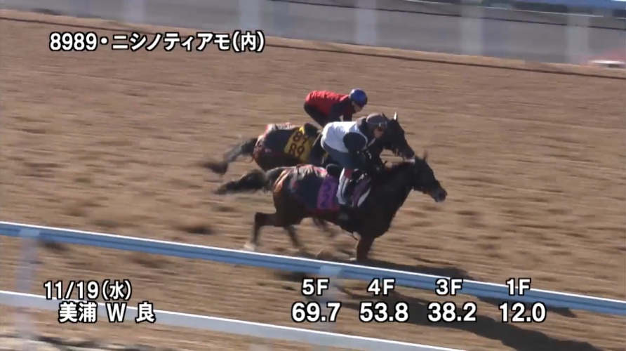 福島記念2025 追い切り