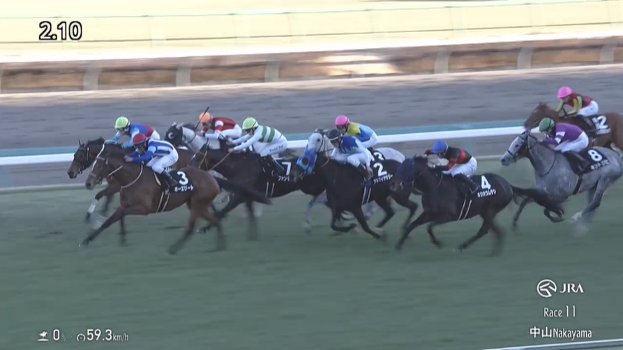 ステイヤーズステークス2025出走予定馬 ホーエリート