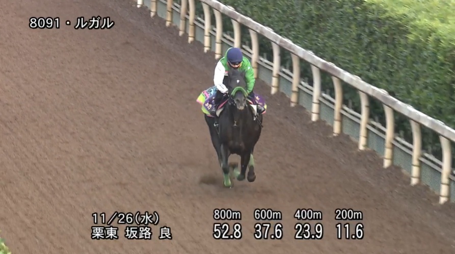 京阪杯2025 追い切り