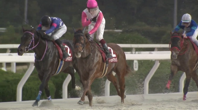 兵庫ジュニアグランプリ2025 トウカイマシェリ